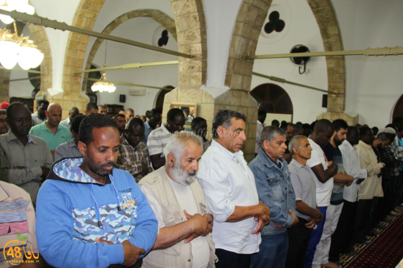 trawe7 salahsaj (11).jpg